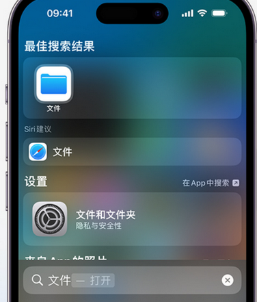 细水乡apple维修中心分享iPhone文件应用中存储和找到下载文件 