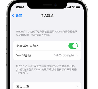 细水乡apple服务站点分享iPhone上个人热点丢失了怎么办 