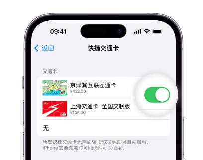 细水乡apple维修点分享iPhone上更换Apple Pay快捷交通卡手绘卡面 