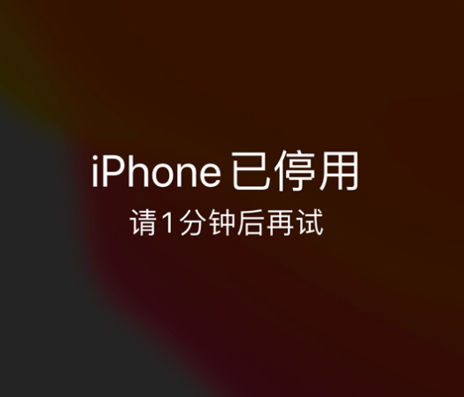 细水乡苹果手机维修分享:iPhone 显示“不可用”或“已停用”怎么办？还能保留数据吗？ 