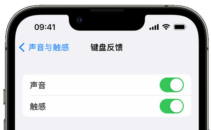 细水乡苹果手机维修分享iPhone 14触感键盘使用方法 