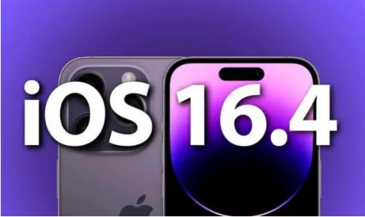 细水乡苹果14维修分享：iPhone14可以升级iOS16.4beta2吗？ 