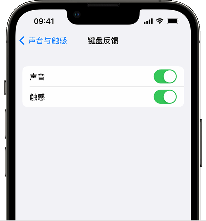 细水乡苹果14维修店分享如何在 iPhone 14 机型中使用触感键盘 