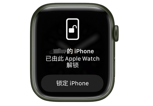 细水乡苹果手机维修分享用 AppleWatch 解锁配备面容 ID 的 iPhone方法 