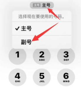 细水乡苹果14维修店分享iPhone 14 Pro Max使用副卡打电话的方法 