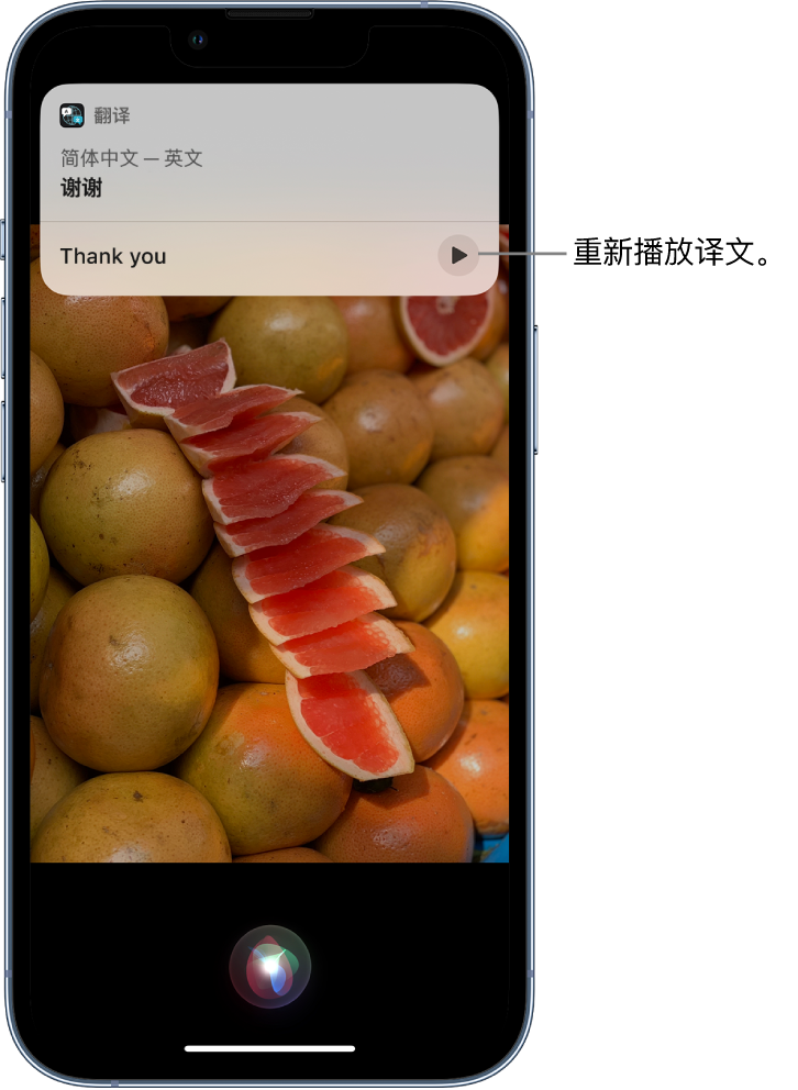 细水乡苹果14维修分享 iPhone 14 机型中使用 Siri：了解 Siri 能帮你做什么 