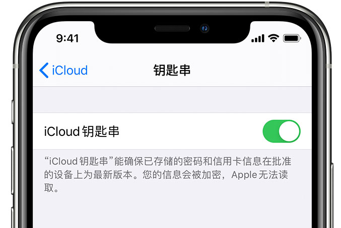 细水乡苹果手机维修分享在 iPhone 上开启 iCloud 钥匙串之后会储存哪些信息 