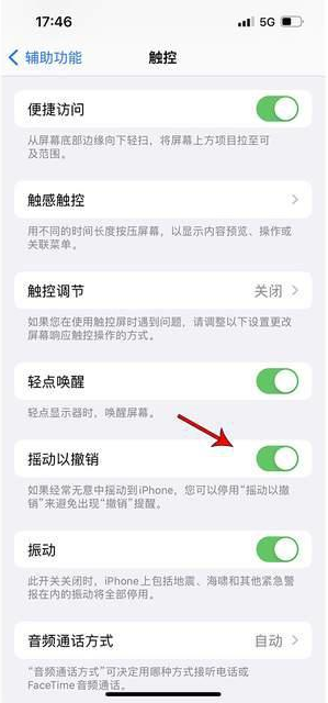 细水乡苹果手机维修分享iPhone手机如何设置摇一摇删除文字 